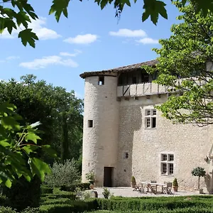 Château De Mayragues Hébergement de vacances Castelnau-de-Montmiral